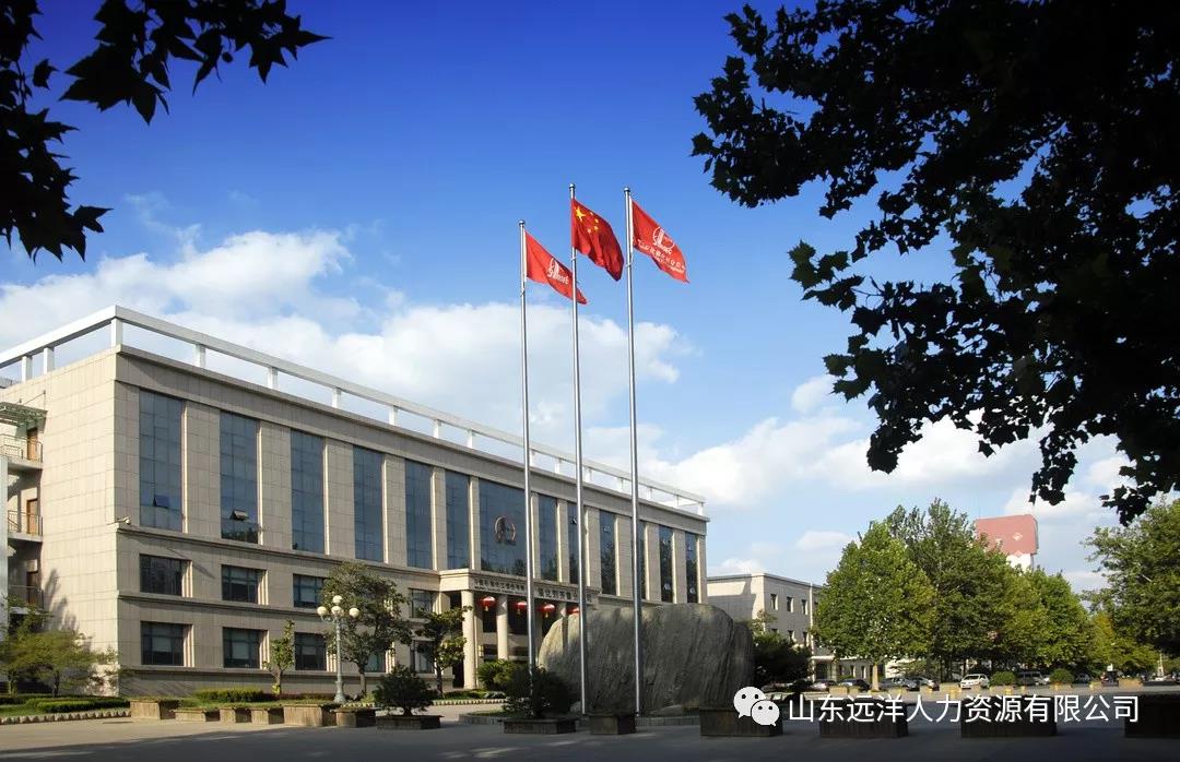 中国石化催化剂齐鲁分公司2020年度校园招聘重磅来袭！
